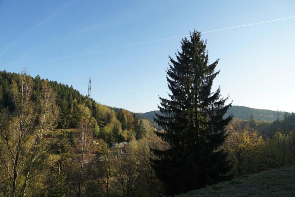 Ferienhaus Hellaberg Langenbach  외부 사진
