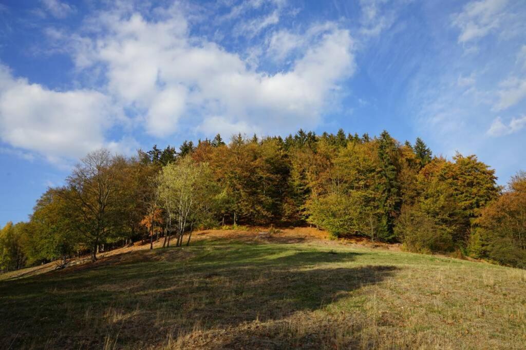 Ferienhaus Hellaberg Langenbach  외부 사진